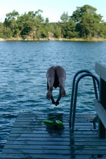 skinny dipping