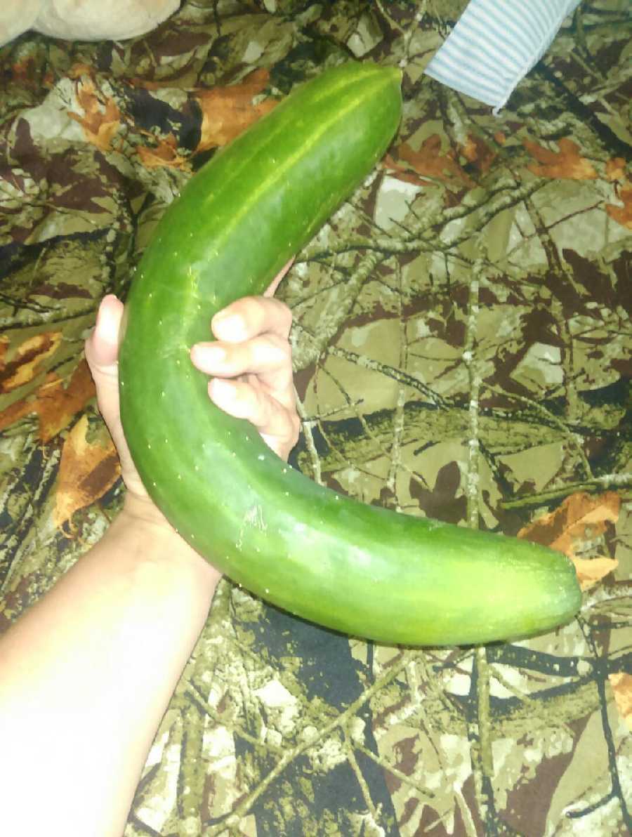 Cucumber Fun