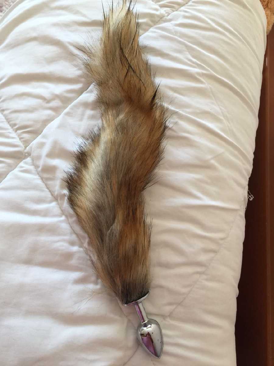 My Fox Tail Video