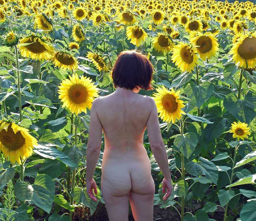 Nude in the Sunflowers!