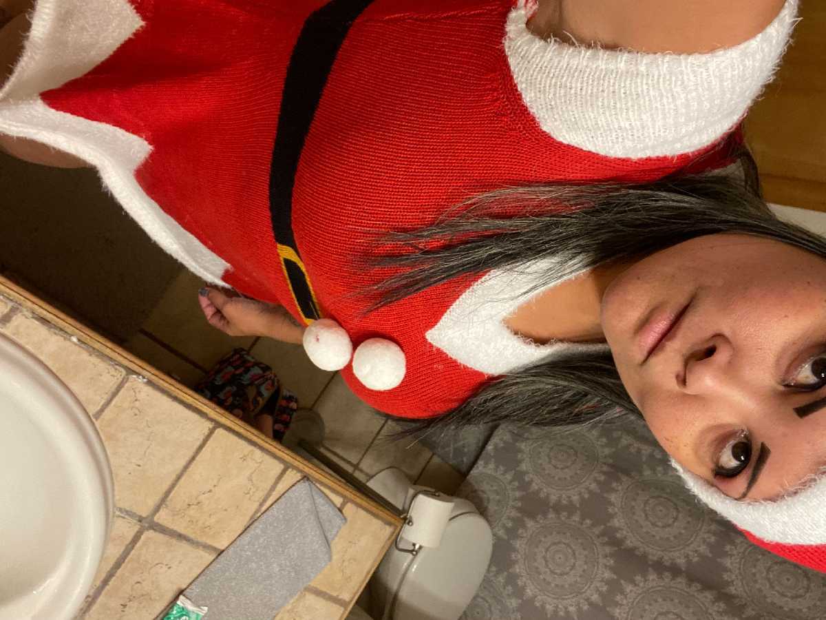 Sexy Mrs Claus Outfit