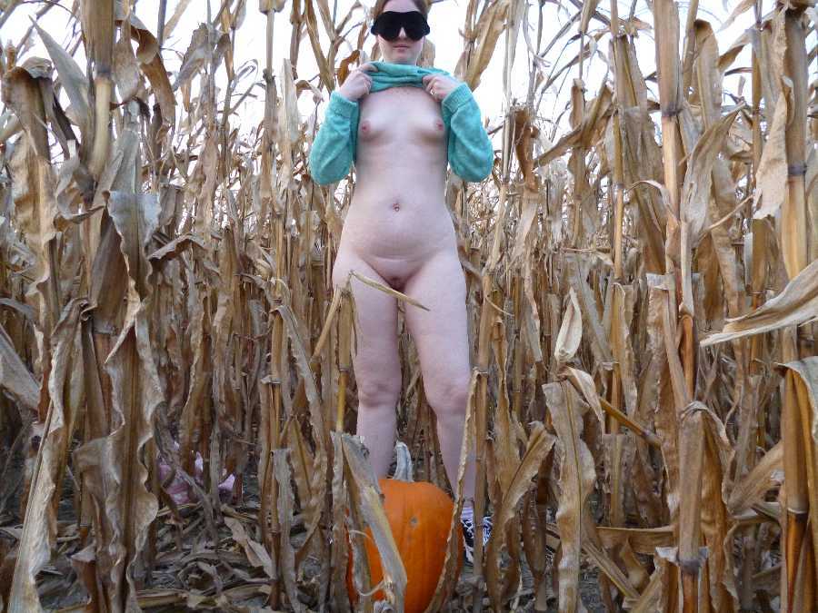 Naked in a Corn Field