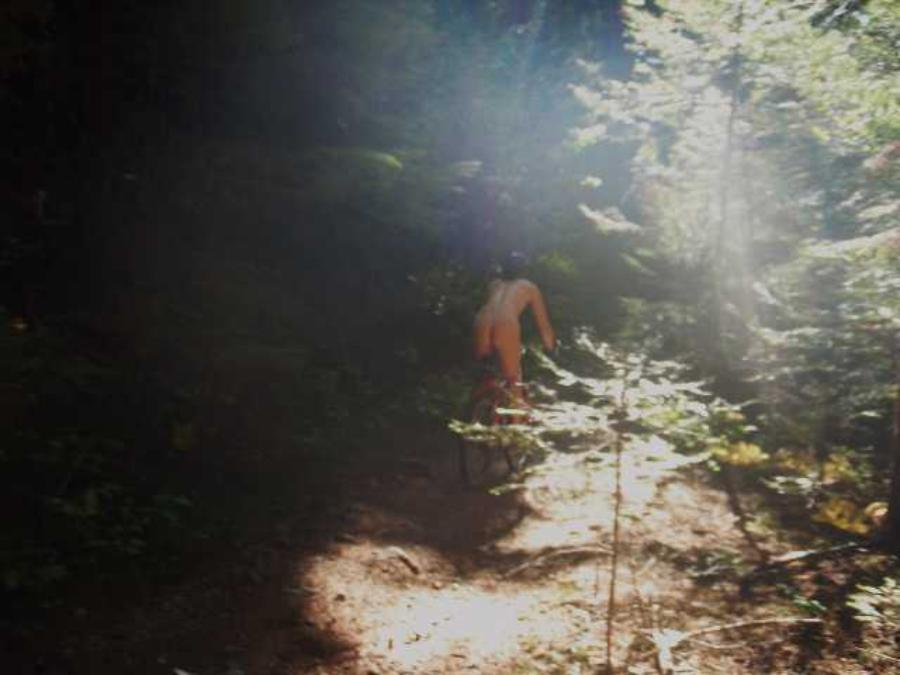 Nude in the Woods