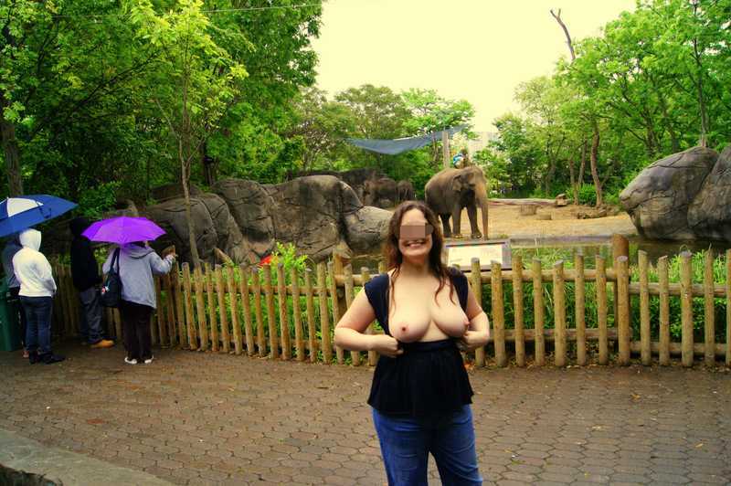 Flashing at the Zoo