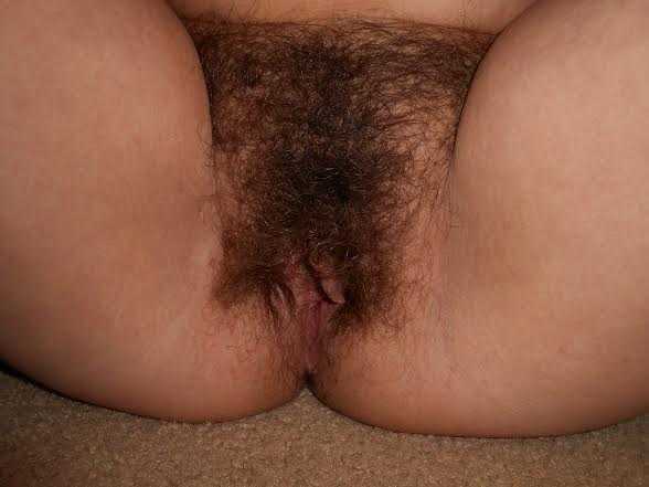 Wife's Unshaven Pussy