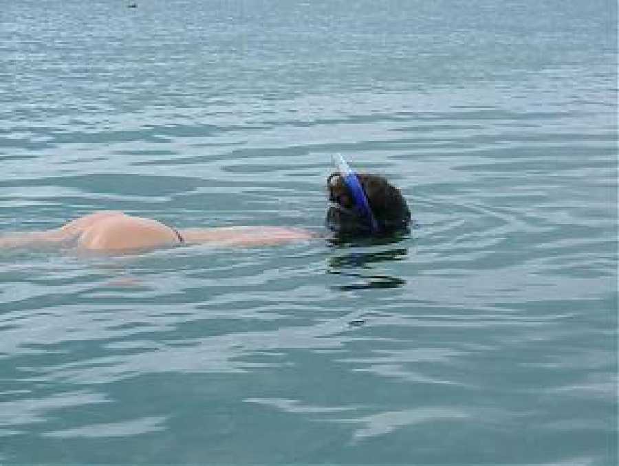 Nude Snorkling