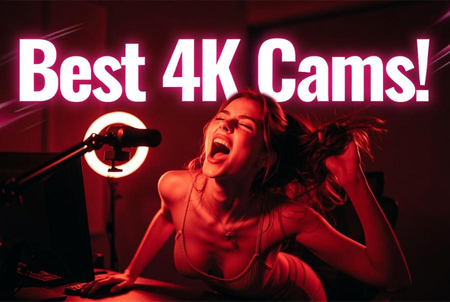 4K Cams - Live Webcams