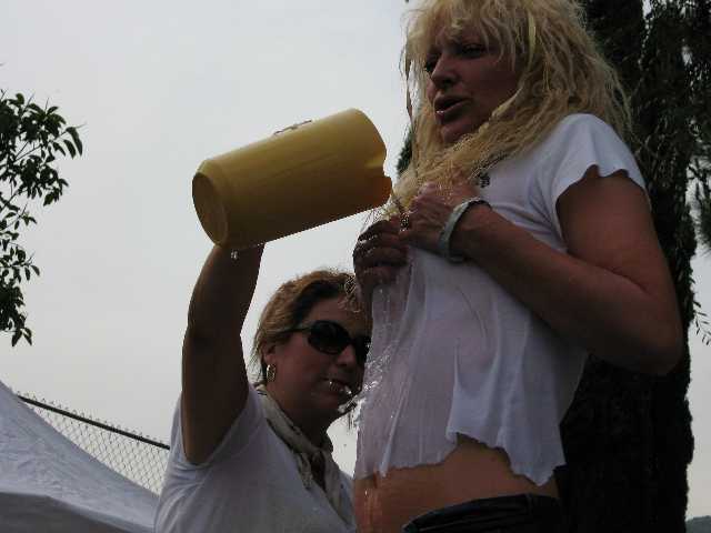 wet t-shirt